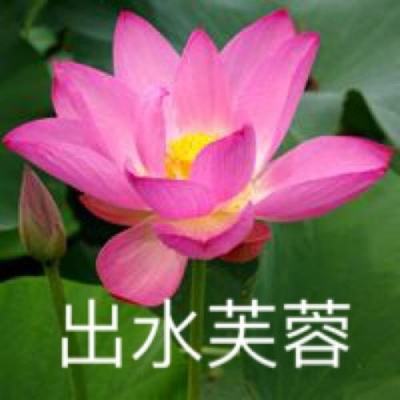 洪荒仙迹152客户端下载